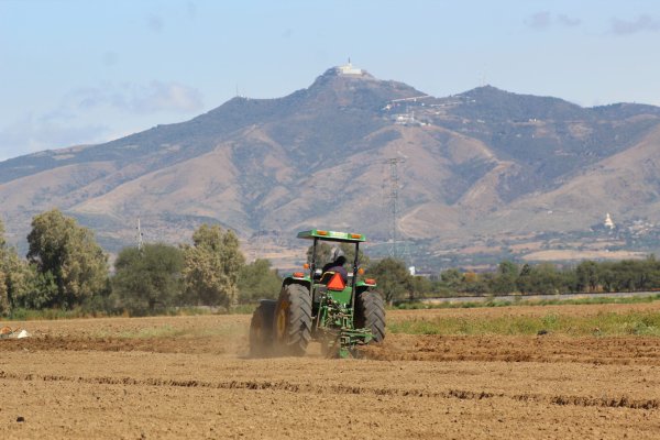 Campesinos de Silao, Romita e Irapuato denuncian falta de apoyo de las autoridades