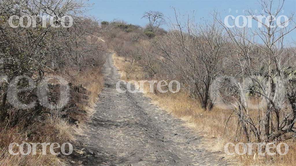 Descubren un cuerpo putrefacto en un cerro de Jaral del Progreso