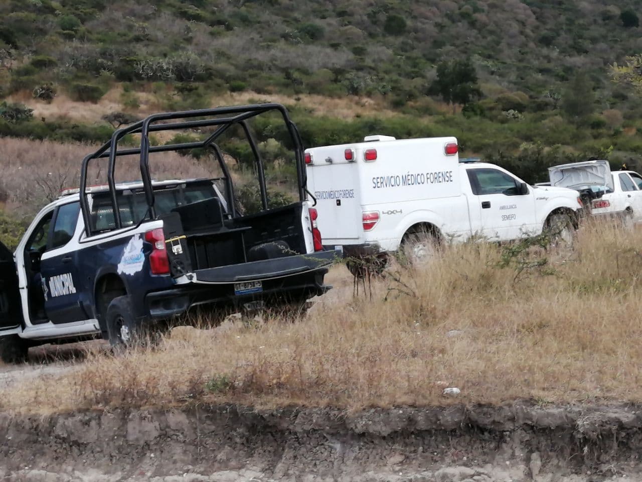 Encuentran cuerpo sin vida y con signos de violencia en Chamácuaro, Acámbaro