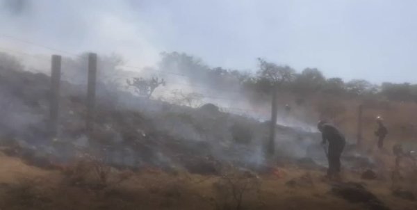 Bomberos combaten Incendios zona serrana de Acámbaro; no se han abasto