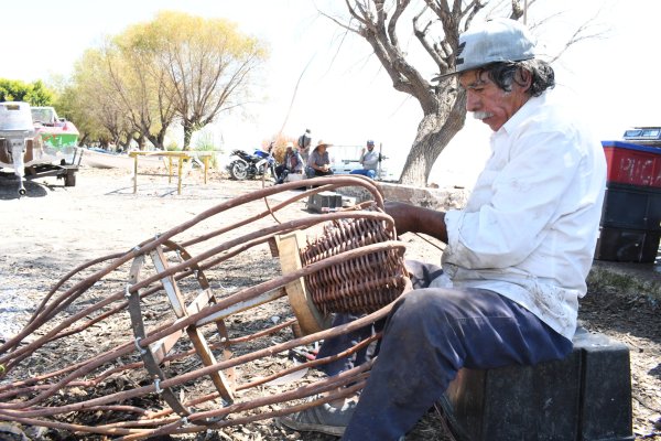 Pesé a proliferación del lirio acuático reinicia la pesca en la Laguna de Yuriria