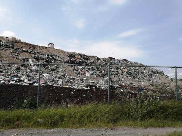 Buscan aprovechar reciclables para evitar saturación del relleno sanitario de Salamanca