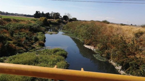 Salamanca presenta a la CEAG plan de rescate para el río Lerma