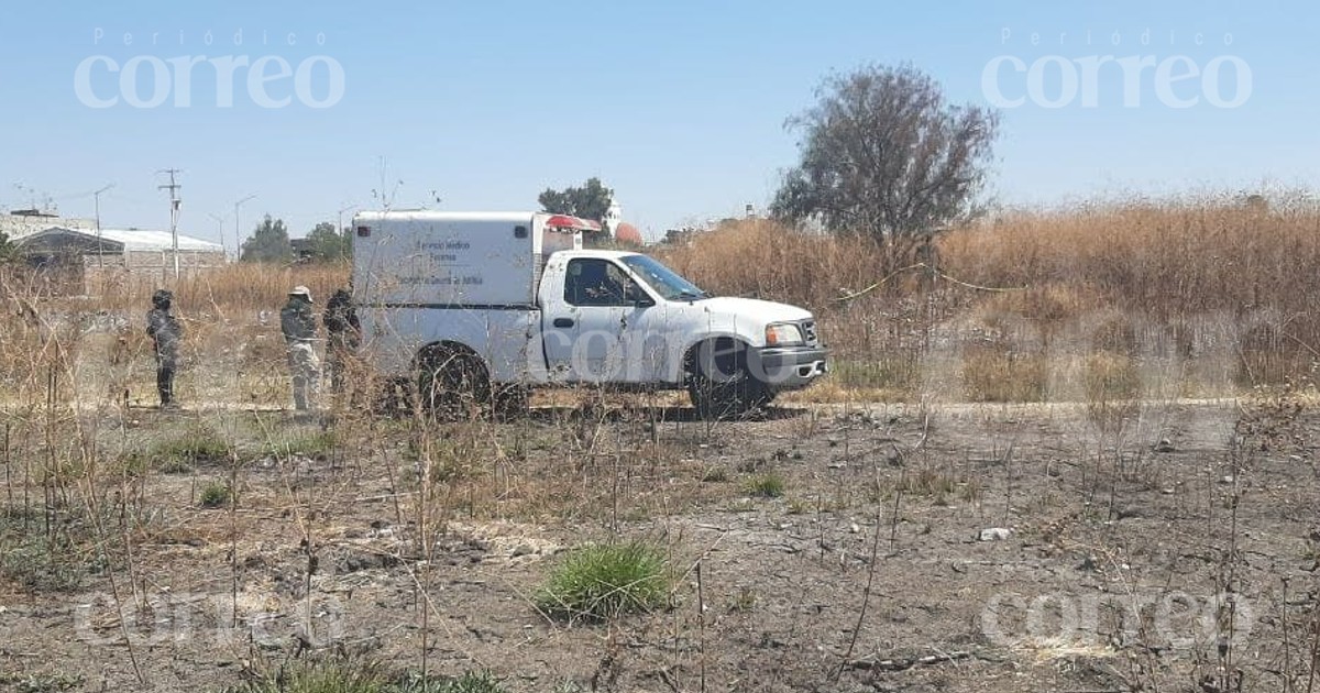 Hallan cadáver colgado de un árbol y con huellas de violencia en Celaya