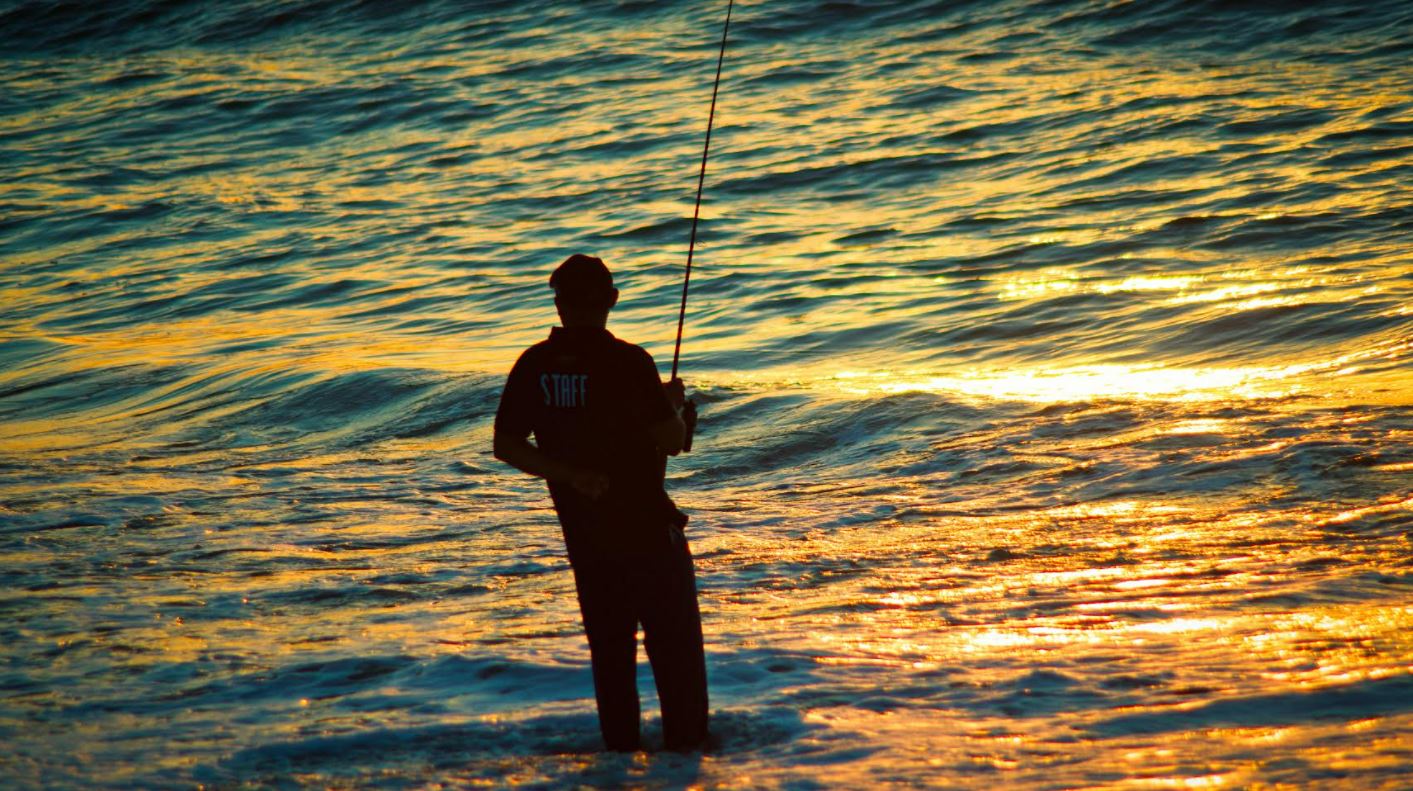 Actividades para hacer en Puerto Vallarta