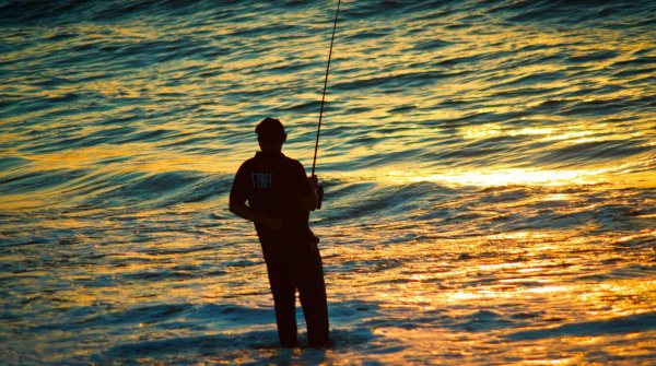 Actividades para hacer en Puerto Vallarta