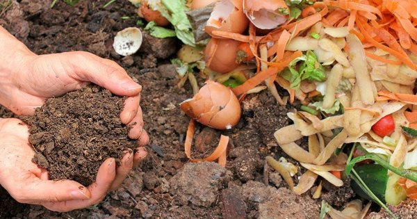 Proyecto Composta SMA busca disminuir la contaminación en San Miguel de Allende