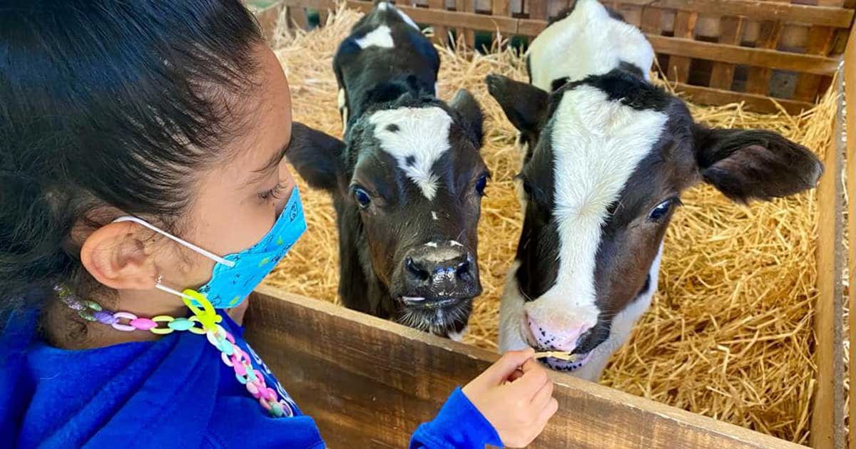 Llega Animalandia a Explora y promete cautivar a las familias de León