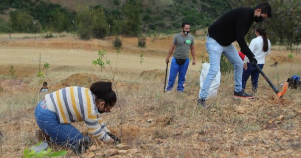 Preocupa a alcaldes de Guanajuato poco presupuesto para combatir la deforestación