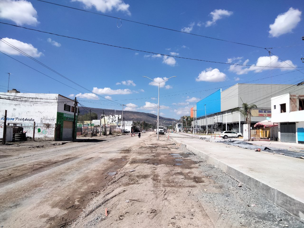 Hasta 5 años podrían tardar en crecer los árboles afuera de Walmart en Purísima del Rincón