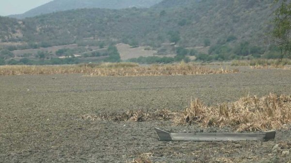 Sequía afecta la zona norte de Guanajuato y compromete los acuiferos de Celaya: CEAG