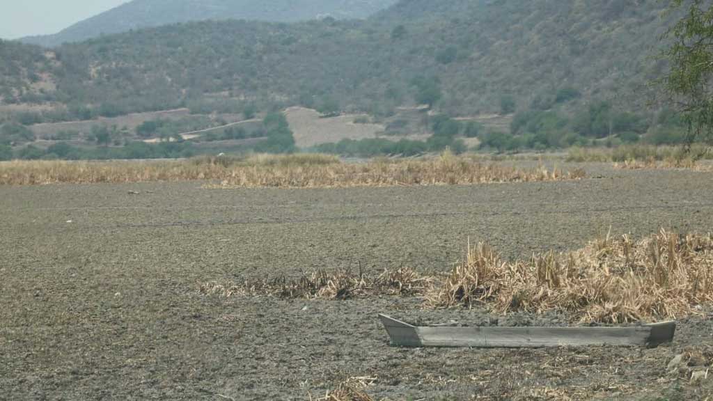 Sequía afecta la zona norte de Guanajuato y compromete los acuiferos de Celaya: CEAG