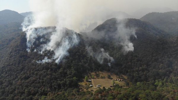 Fuego y cenizas: Conafor ubica a Guanajuato en tercer lugar por incendios en pastizales