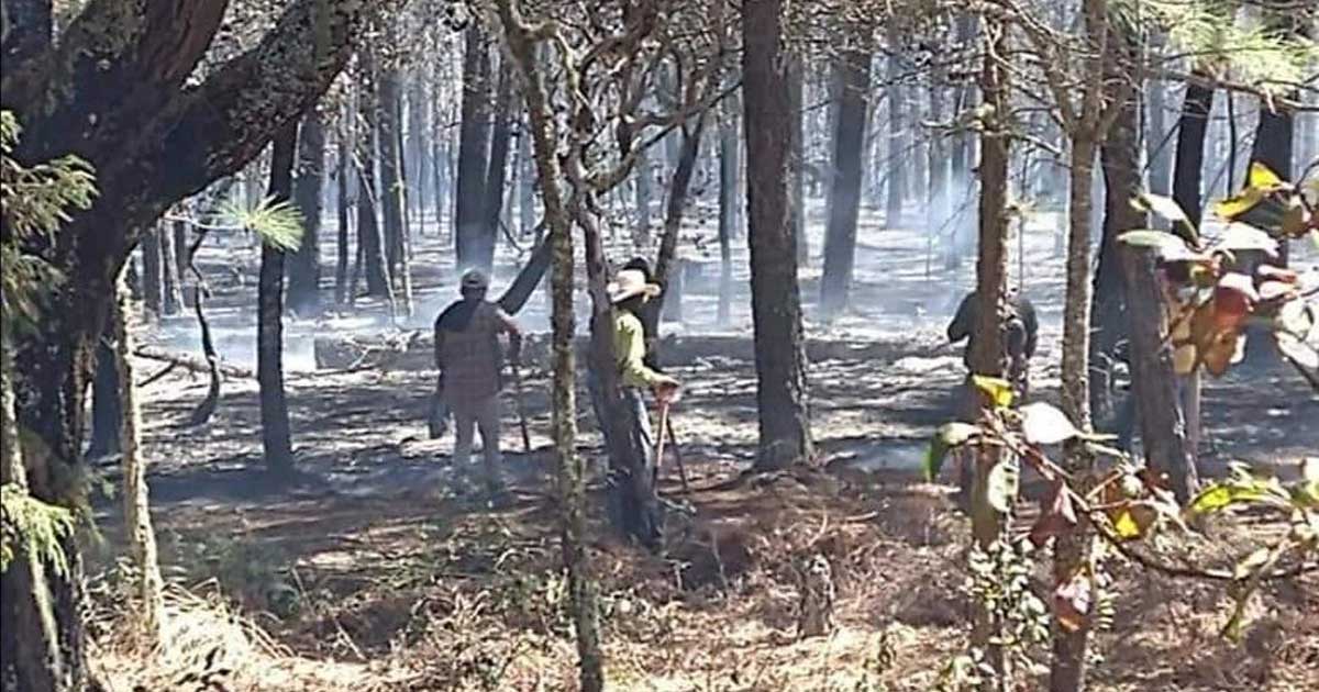 Controlan incendio en Sierra Gorda de Guanajuato después de tres días de trabajos