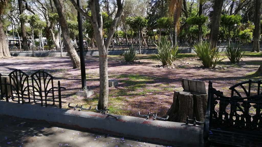 Por robo y vandalismo, eliminarán barandales en áreas verdes de la Alameda de Celaya