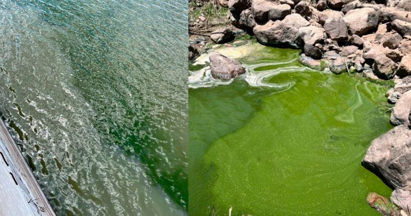 Agua en San Luis de la Paz llega con olor y color a las casas; se debería a la sequía