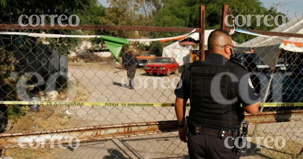 Niño de tres años pierde la vida al ser atacado por jauría de perros en León