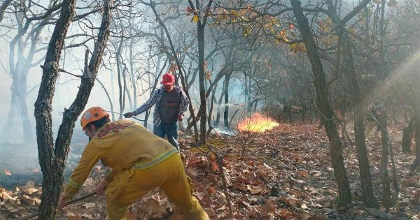 Luchan por apagar incendio en Sierra de Pénjamo; ha arrasado decenas de hectáreas