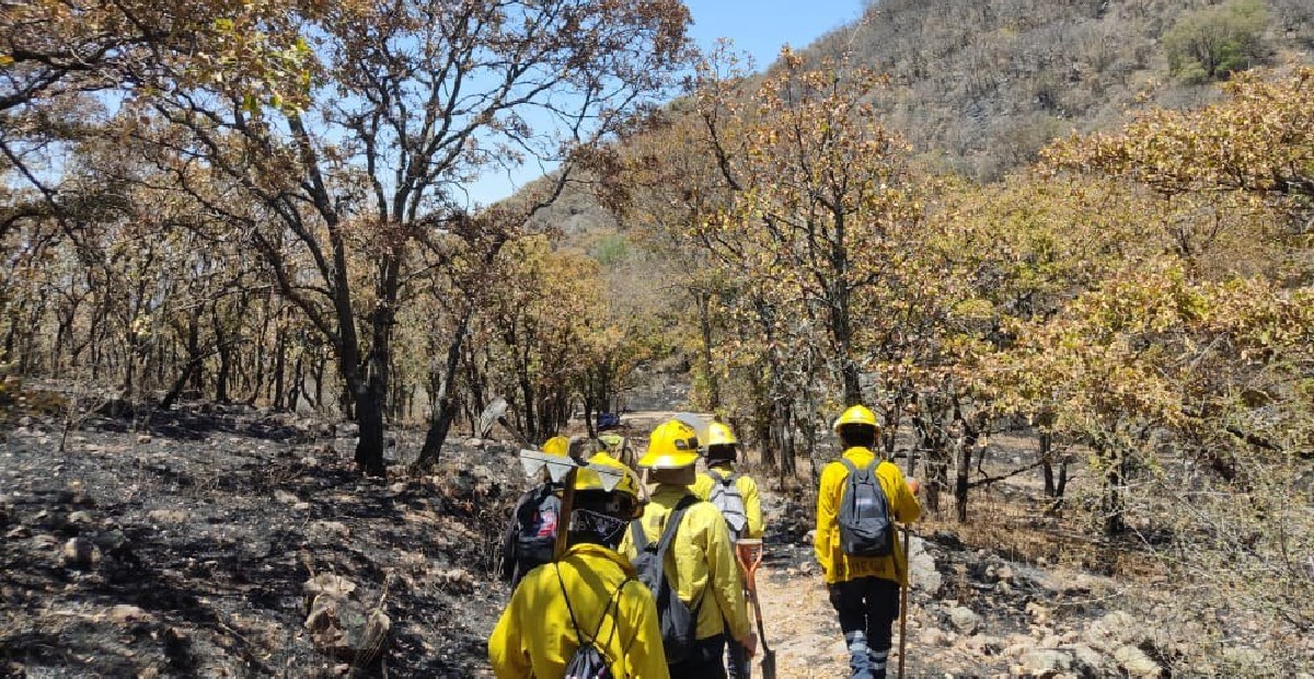 Bomberos realizan operativo para combatir incendio en sierra de Acámbaro