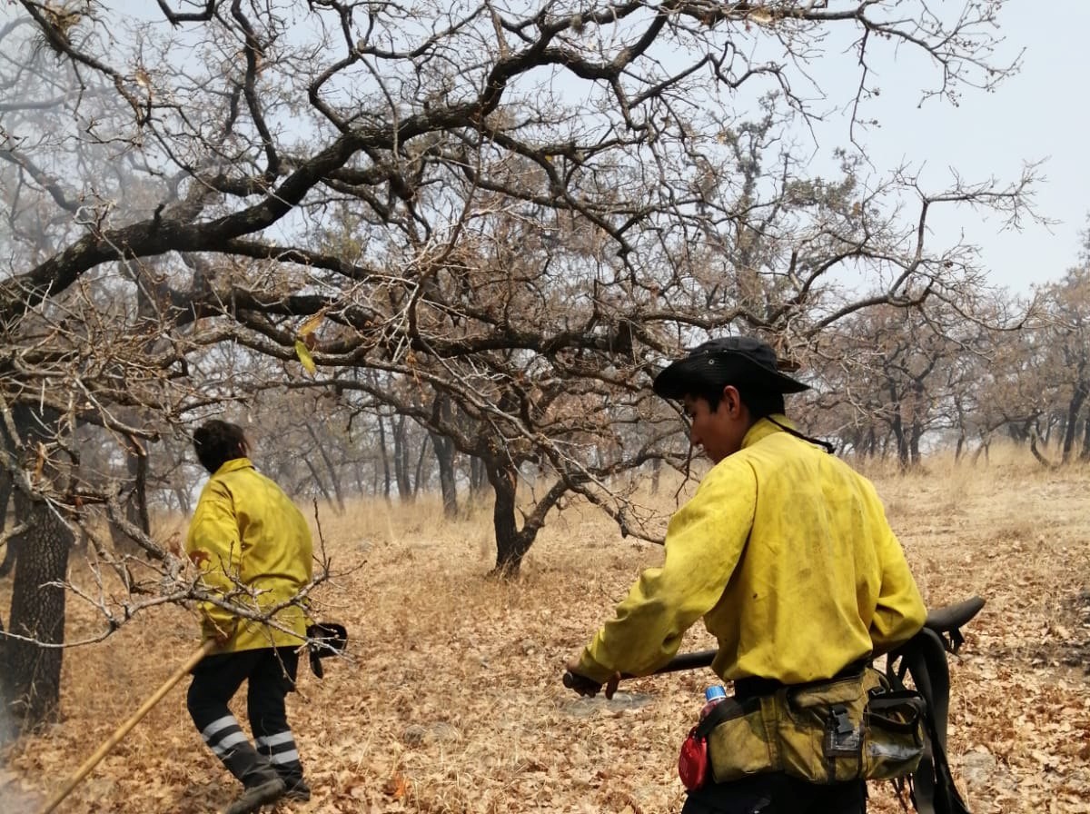 Acámbaro: Incendios en el Cerro del Toro  no ceden; van dos en un mes