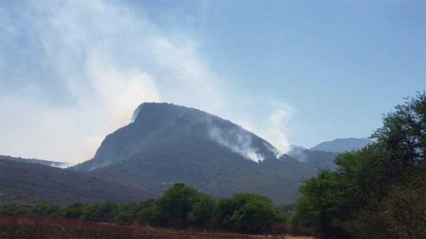 Altas temperaturas han provocado incendios en la Sierra Agustinos de Acámbaro