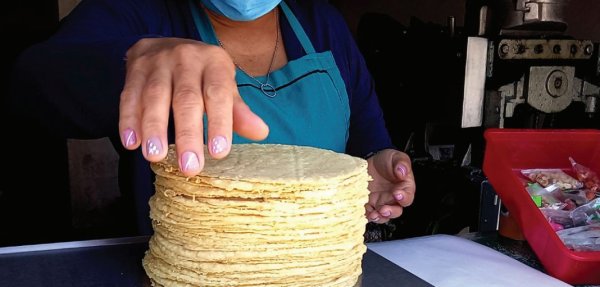 Ante crisis, tortilleros consideran incrementar hasta 4 pesos más el precio de la tortilla