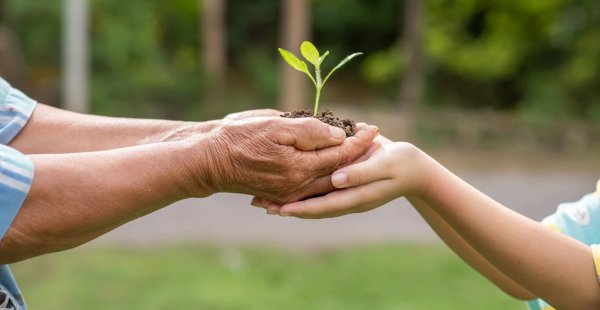 ¿Donar órganos con covid-19? Irapuato lo logra por primera vez en México