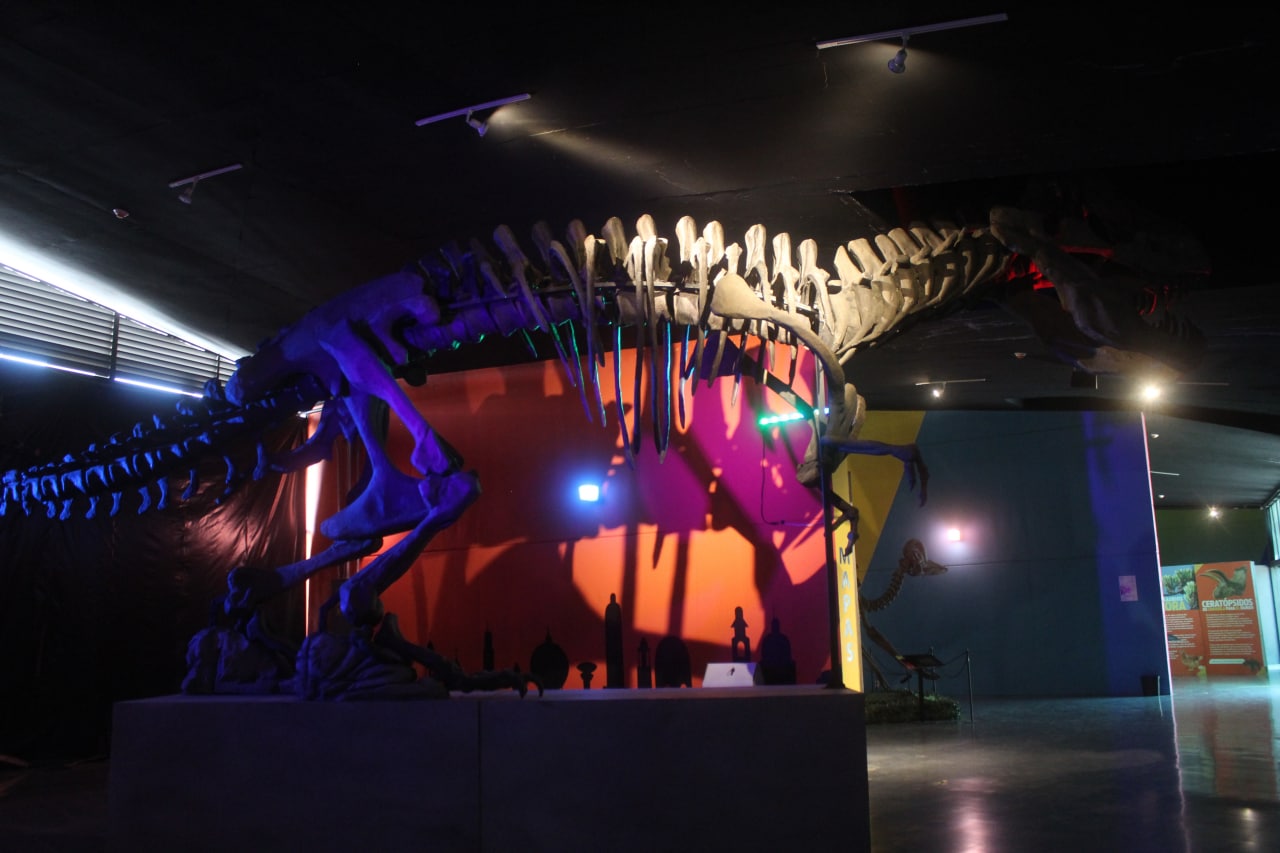 Celayenses ‘viajan en el tiempo’ con la inaguración del Museo Tierra de Dinosaurios