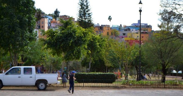 No hay recurso para elaborar la paleta vegetal de Guanajuato Capital