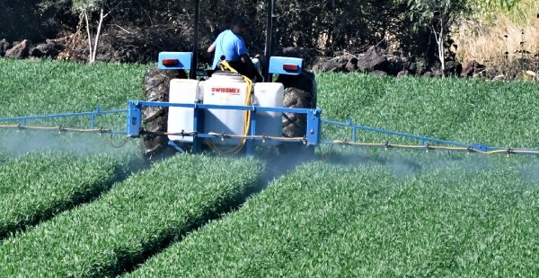 PAN denuncia ausencia de la Profeco en el campo de Guanajuato