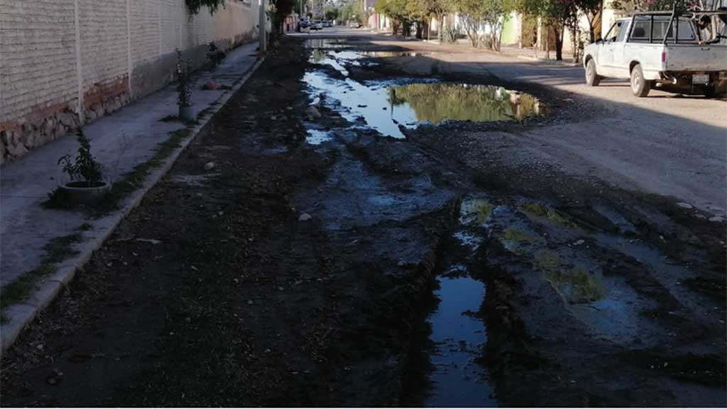 San José Iturbide: viven entre basura y malos caminos en la comunidad de Ojo de Diego