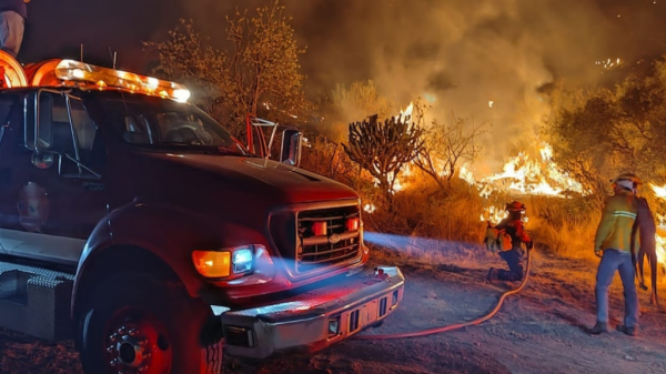 Dos incendios provocados en Guanajuato dejan 20 mil metros de pastizal afectado