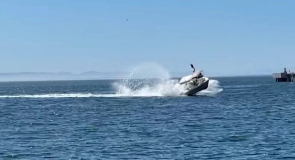 Barco choca contra ballena y sale disparado (Video)