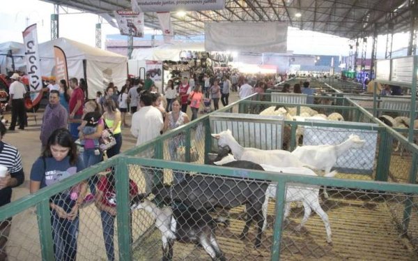 Expo ganadera en León, terreno con historia… y con valor de 125 millones de pesos