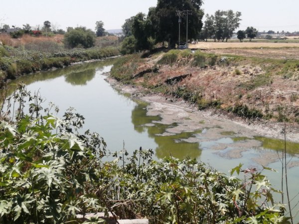 Falta compromiso para solucionar contaminación del Río Lerma: ambientalista