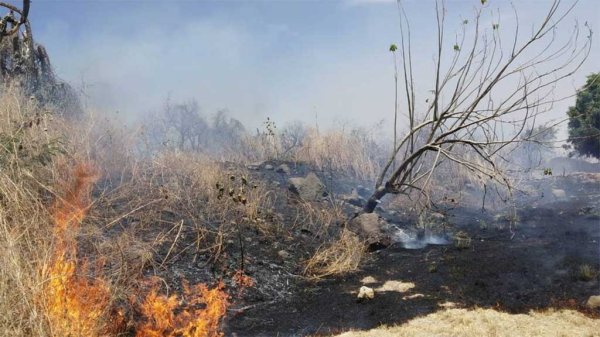 Incrementan incendios en Guanjuato, pero han afectado menos: SMAOT