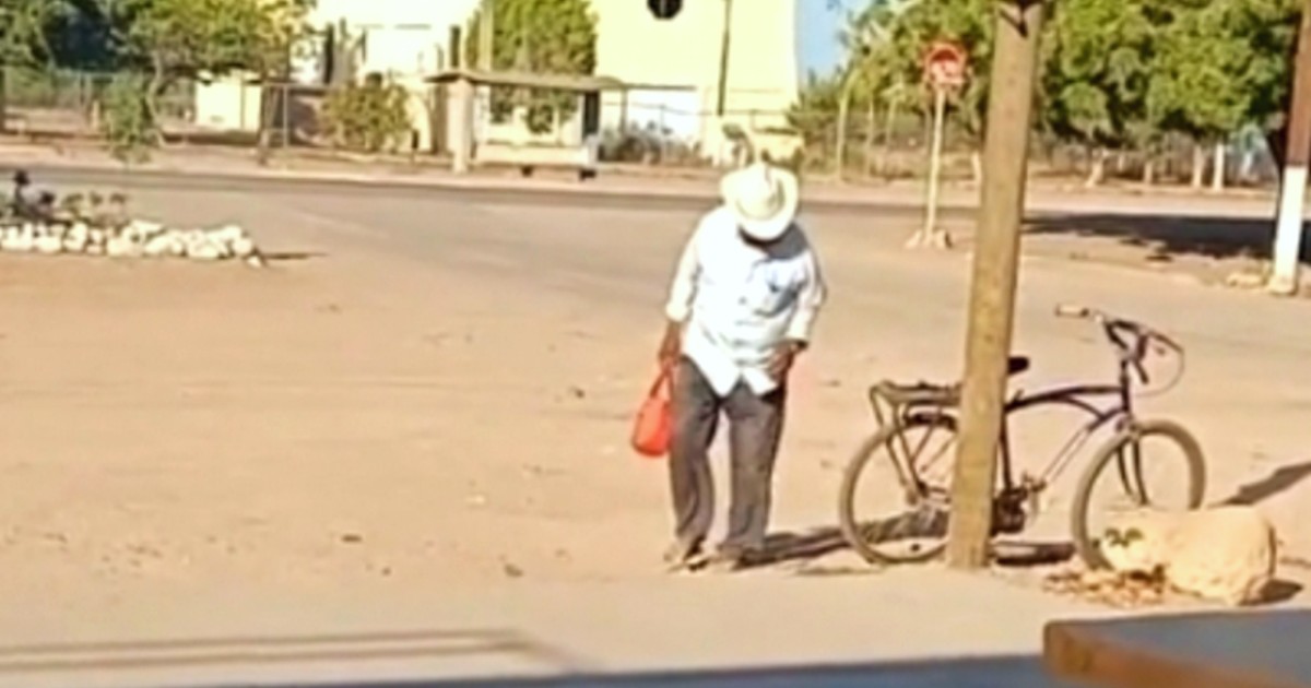 Abuelito se hace viral: le lleva comida a su nieta todos los días (VIDEO)