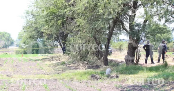 Hallan tres cuerpos más en La Granjena de Pénjamo; ya son 6 en dos semanas