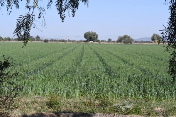 CNC confía en que habrá buena temporada de lluvias en Guanajuato