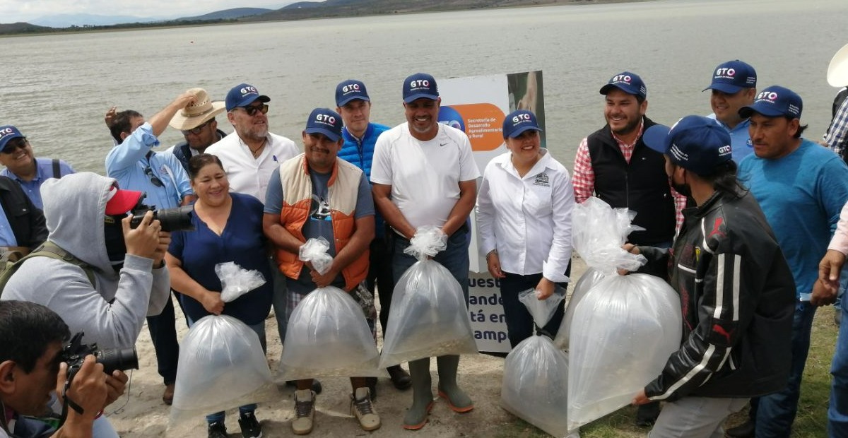 SDAyR brinda apoyo con los programas de Bordería 2022 y ‘Mi Granja de Peces’