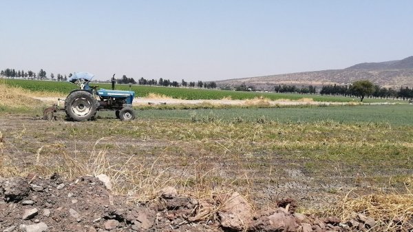 Campesinos de Guanajuato urgen apoyo ante aumento del fertilizante