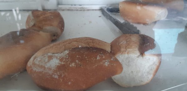 Sin parar: panaderos de León prevén nuevo aumento en sus productos