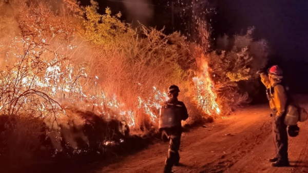 Incrementan incendios forestales en Guanajuato… pero se quemaron menos hectáreas