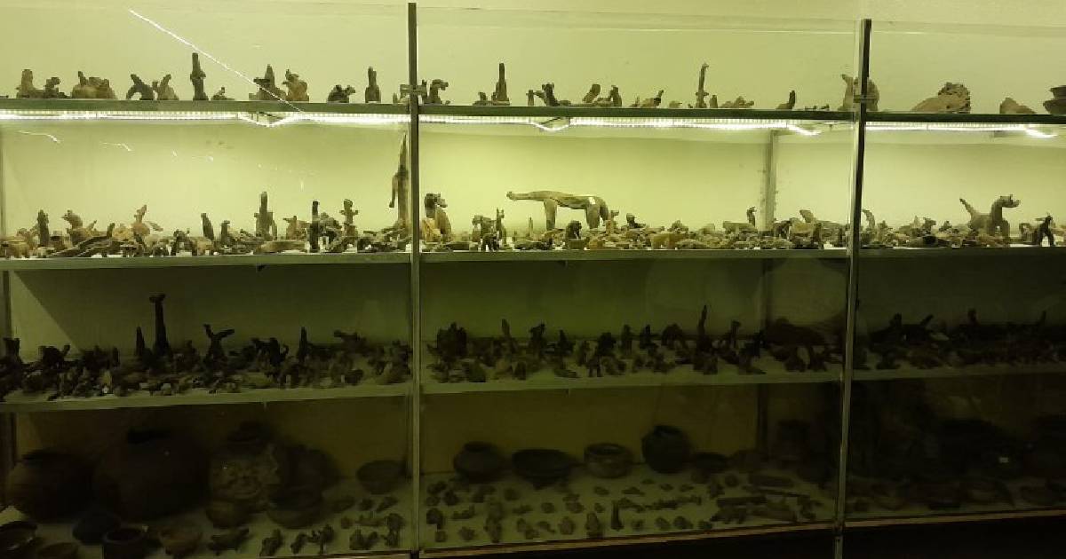 Disminuye la colección de figurillas de animales prehistóricos por saqueos en Acámbaro