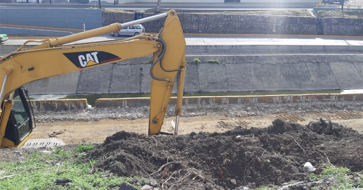 Buscan frenar obras del Malecón del Río en León; denuncian tala de árboles