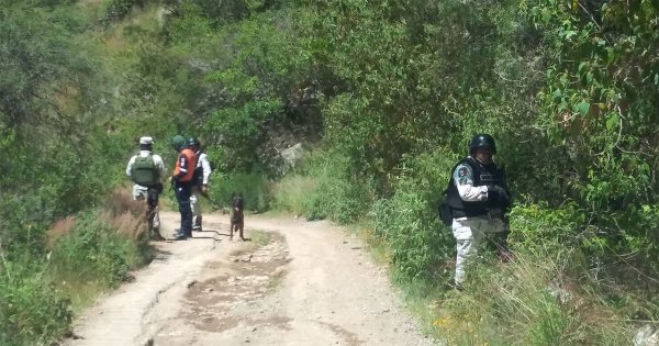 Autoridades y colectivos realizan operativo en búsqueda de desaparecidos en Guanajuato