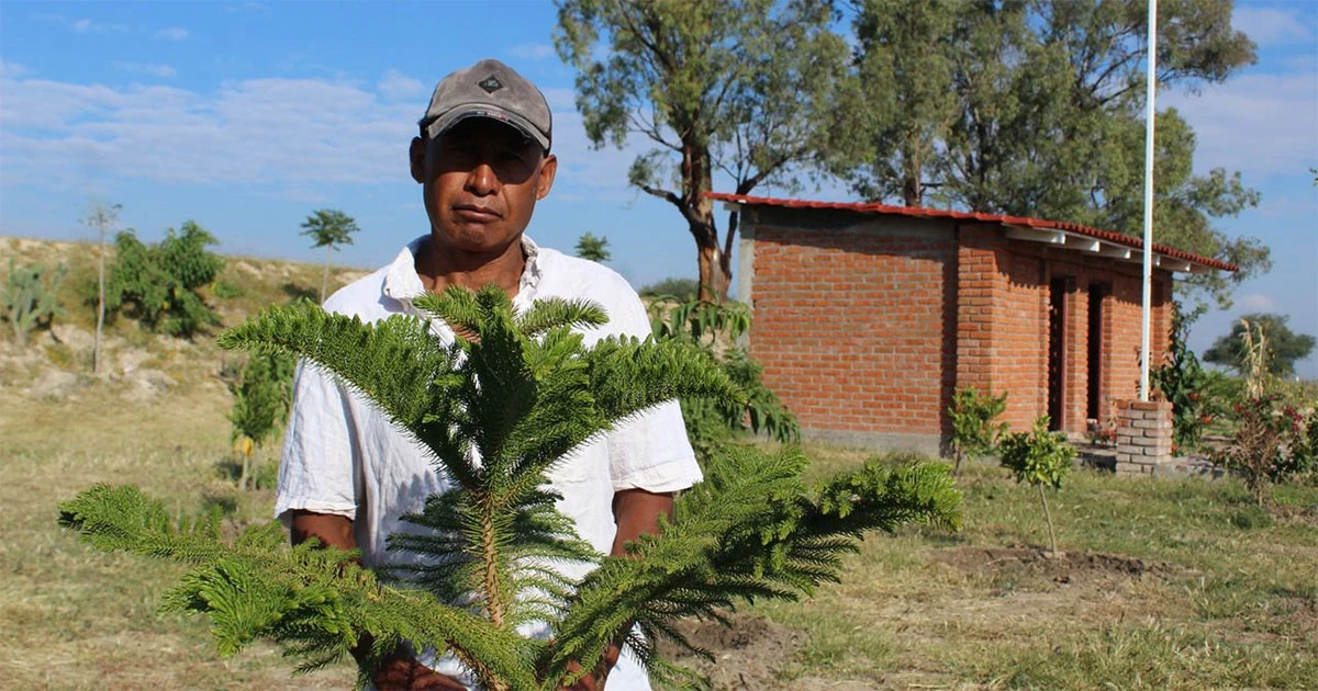 Contra la industrialización, Ponciano crea su propio bosque para reforestar Silao