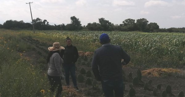 Mujeres agricultoras de la comunidad de Ejido Begoña sufren por falta de apoyo en Doctor Mora