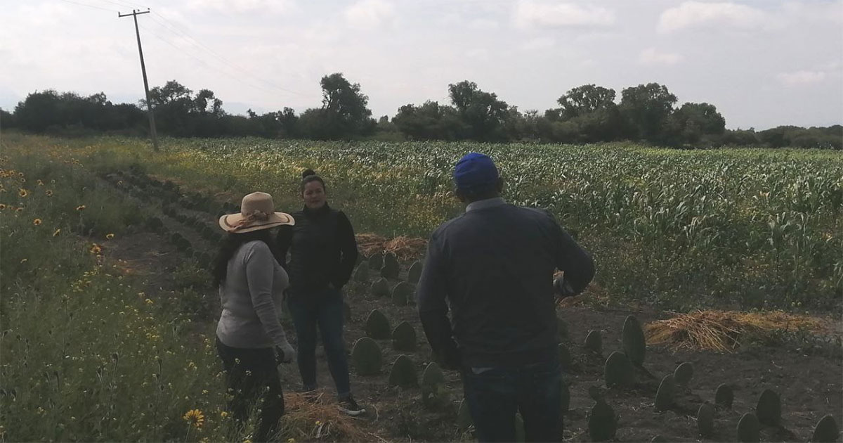 Mujeres agricultoras de la comunidad de Ejido Begoña sufren por falta de apoyo en Doctor Mora