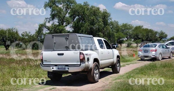 Hallan cadáver en parcelas de Celaya; lo mató una jauría de perros